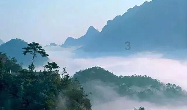 网络公司逃脱