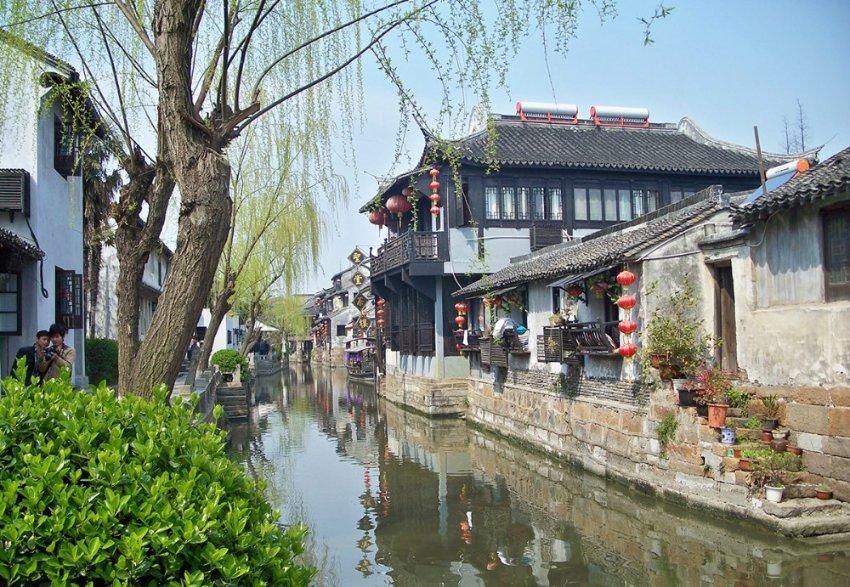 我国学者发现新物种大别山壁虎,研究人员:最大特点是“爱咬人”